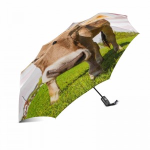 Přenosný marketing větruvzdorný vlastní tisk 2 sekční laminátová žebra automaticky otevírá a zavírá 3-násobný deštník